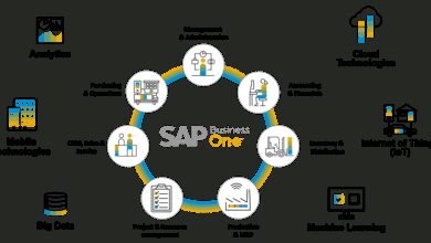 SAP upgrade